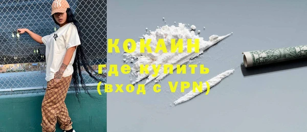 амф Верхний Тагил
