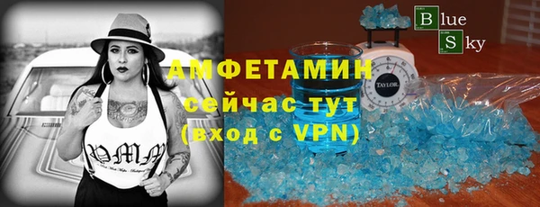 амф Верхний Тагил