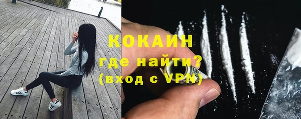 амф Верхний Тагил