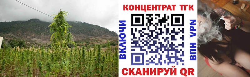 Дистиллят ТГК THC oil  Вилюйск 